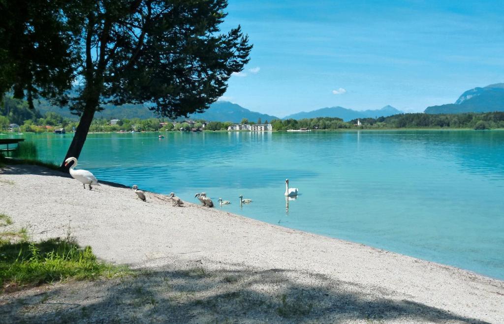 Pension Stissen Haus Am See Faak am See Dış mekan fotoğraf